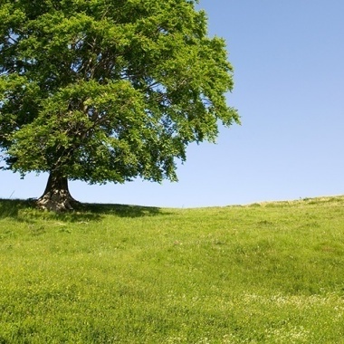 Unterst&uuml;tzung f&uuml;r KMUs bei Krankheit