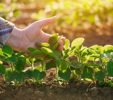 Land- und Forstwirtschaft